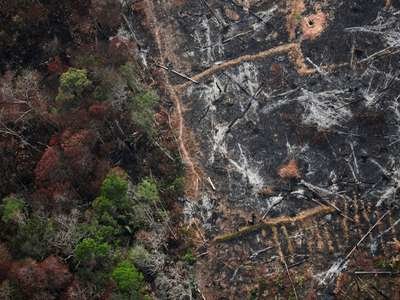An aerial view of a deforested plot of the Amazon near Porto Velho, Rondonia State, in Brazil, Aug. 22.