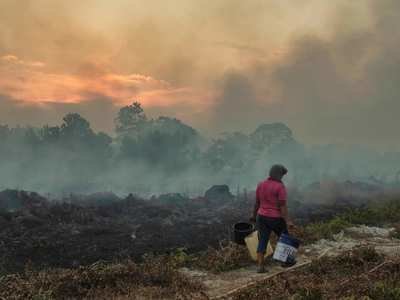 A villager tries to extinguish a peatland fire Aug. 22 in Riau, Indonesia.