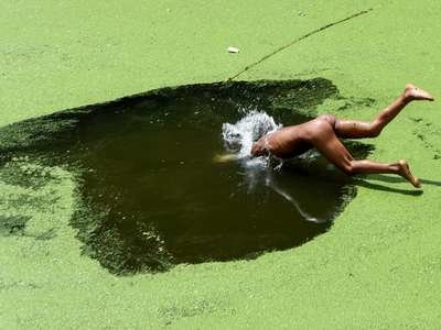 A boy jumps in a pond covered with algae on the outskirts of Kathmandu, Nepal, on Aug. 23.