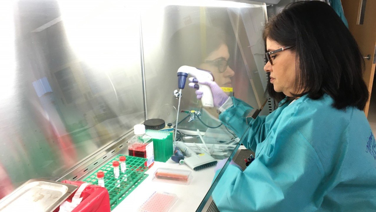PAHO expects COVID cases to increase in the coming weeks in the region