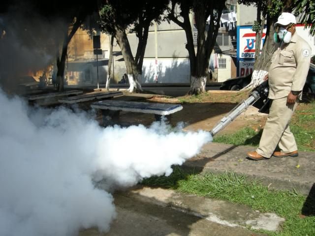 Central America faces time bomb due to double threat of dengue and coronavirus