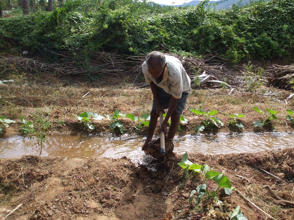 Food producers complain about delay in issuing safe conducts
