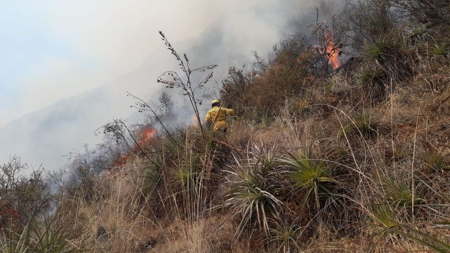 El fuego empezó aparentemente por el descuido de un poblador que intentaba cocinar con piedras en el campo
