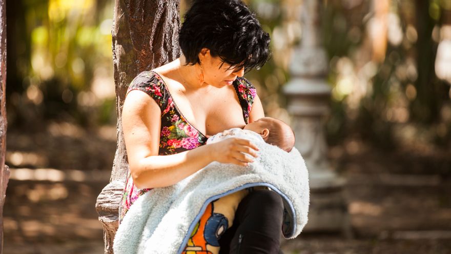 La leche materna provee de anticuerpos a los bebés en los primeros 6 meses de vida