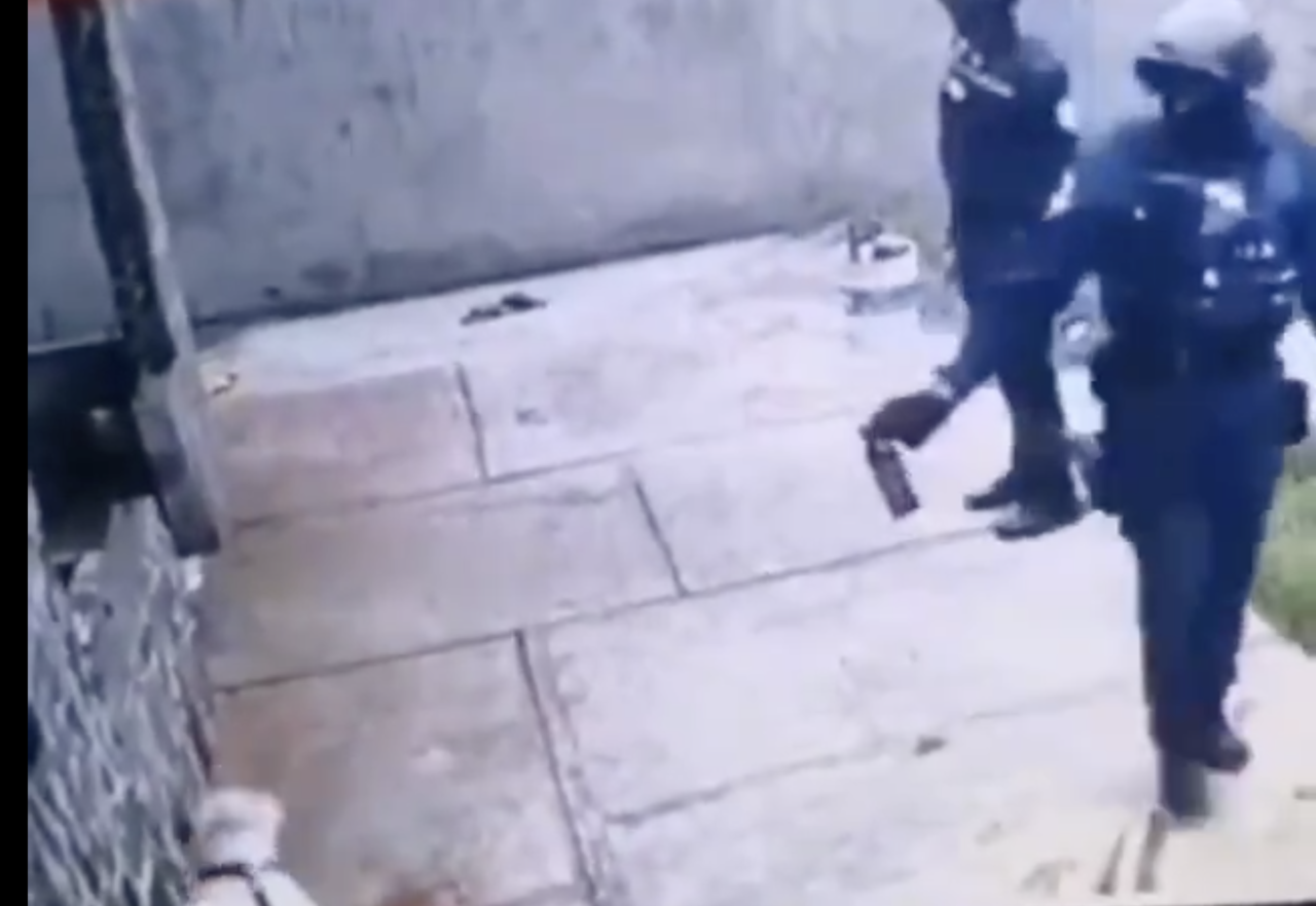 Police investigates video showing officer pepper spray dog