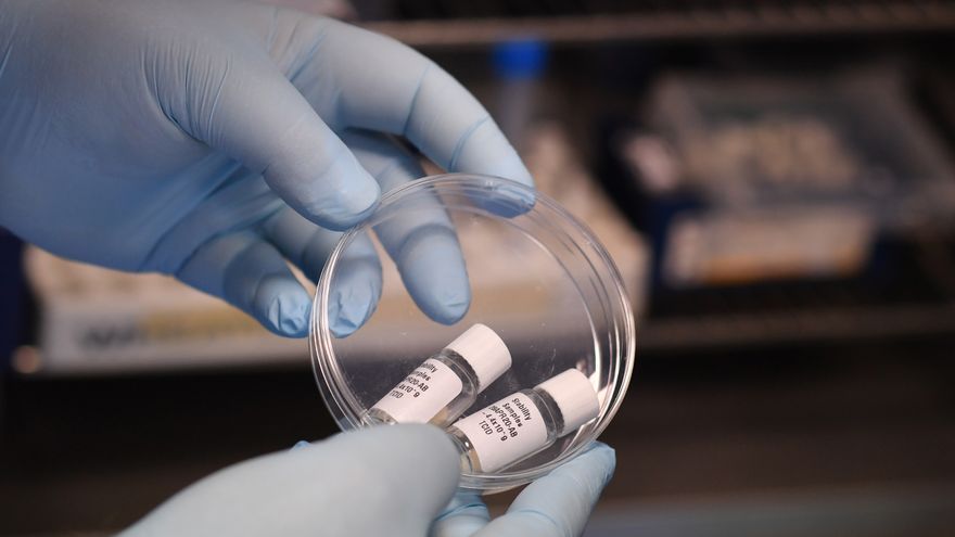 Médicos panameños piden no comprar una vacuna contra el virus de manera “apresurada”
