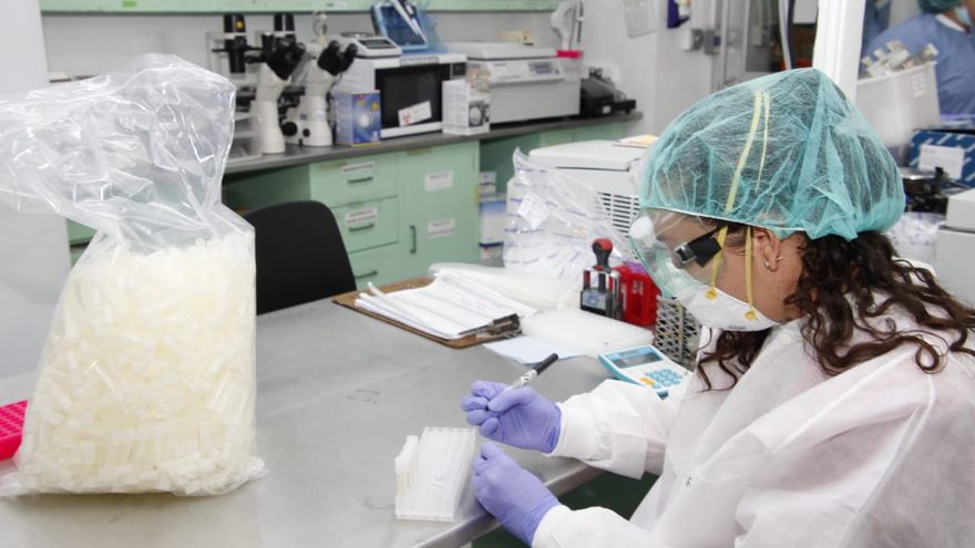 Instituto Gorgas realizará el muestreo en los sitios donde se ha registrado un aumento de la trasmisión del virus