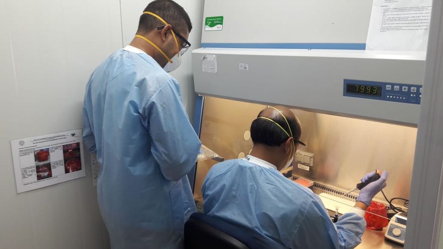 El Instituto Gorgas ha detectado 6 nuevas mutaciones de coronavirus