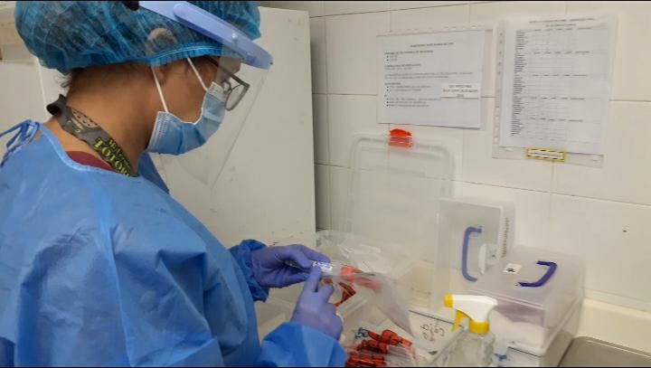 Las autoridades de salud aumentan los puestos de hisopados en el país