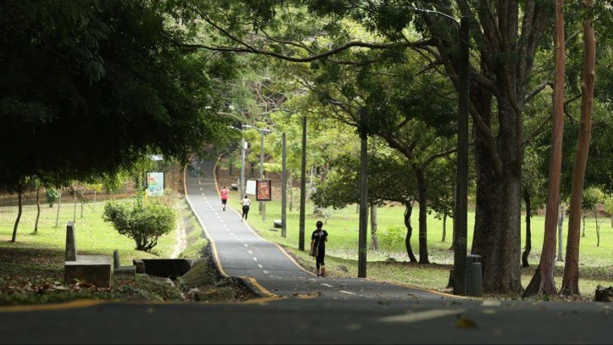 Parque Omar.