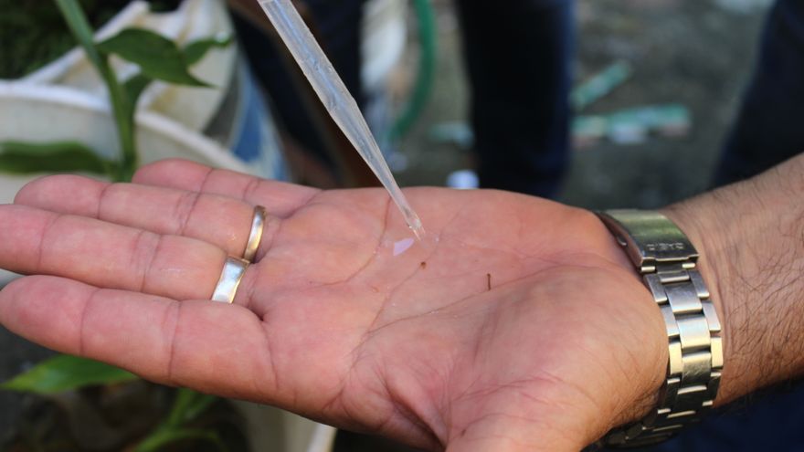 Las autoridades sanitarias reiteran que la nebulización sólo elimina el mosquito adulto, pero no los huevos del mosquito transmisor