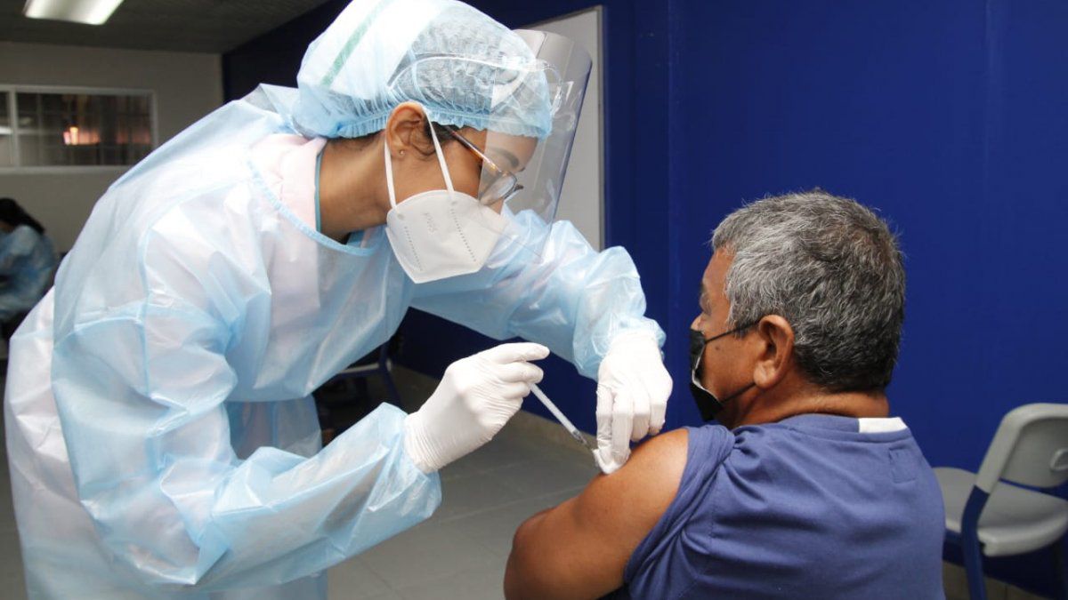 First phase of vaccination against covid-19 culminates in circuit 8-9