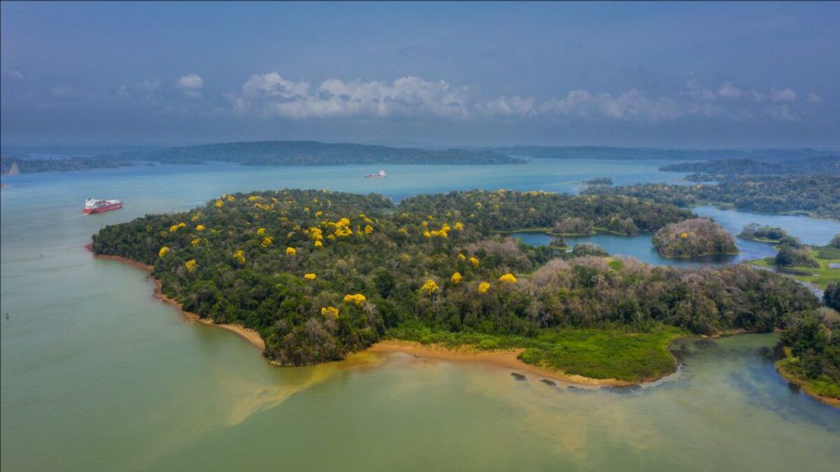 Panama Canal begins process to become carbon neutral by 2030