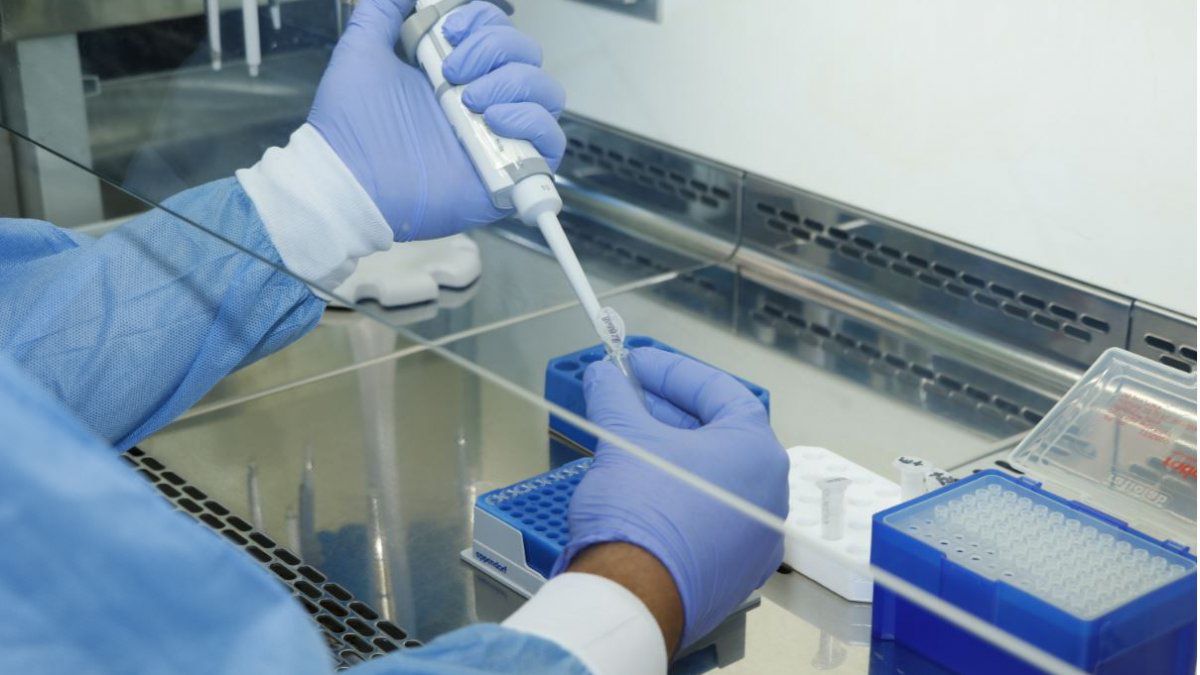 Panama reports 508 new COVID-19 cases and 7 deaths in 24 hours