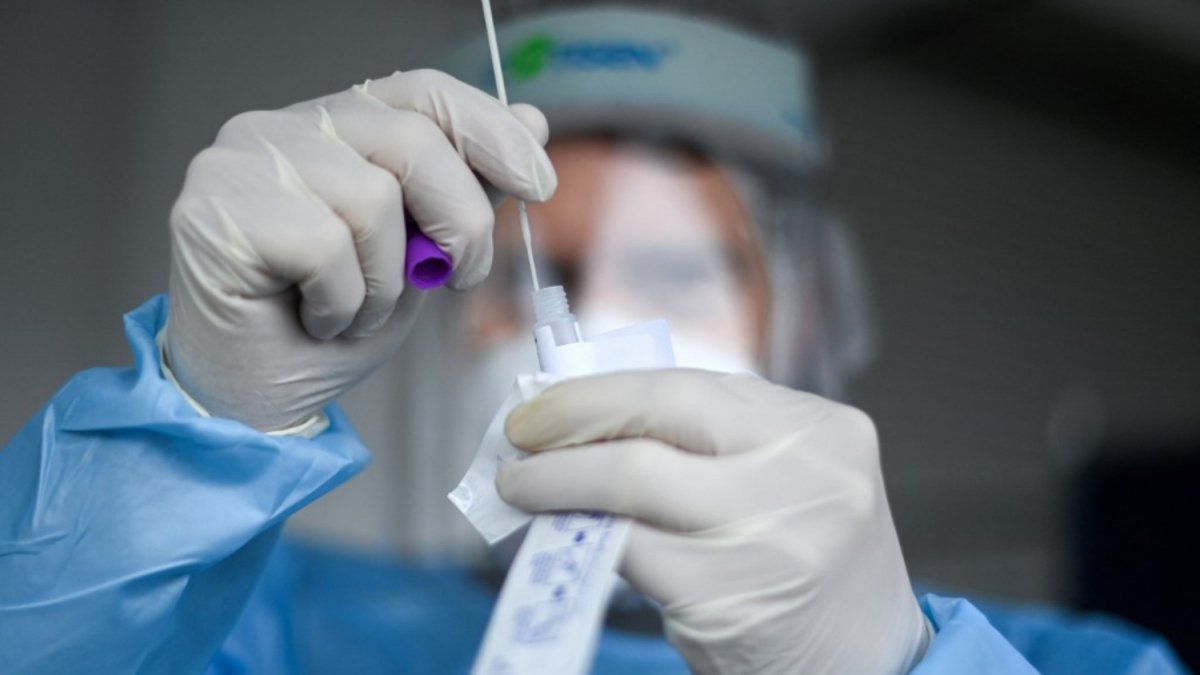 Panama reports 347 new COVID-19 cases and 3 deaths in 24 hours