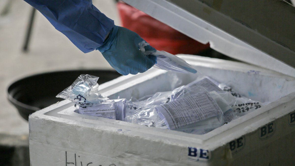 Panama registers 539 new cases of COVID-19 and 2 deaths