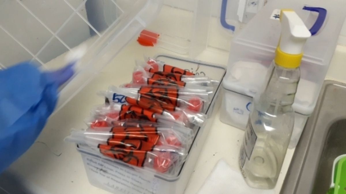 Panama reports 321 new COVID-19 cases and 1 deaths in 24 hours