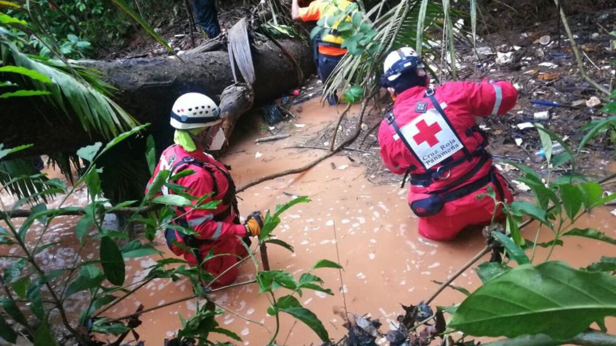 9-year-old child dies after falling into a sewer and being swept away