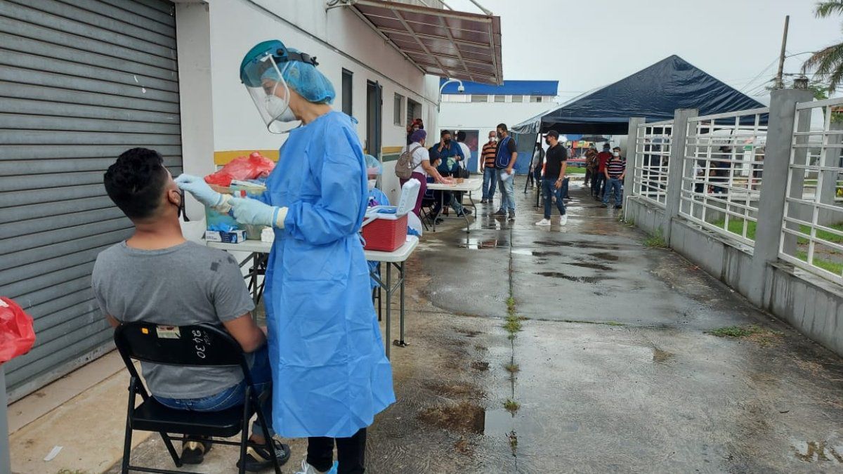 Panama registers 1,138 new COVID-19 cases and 11 deaths in 24 hours