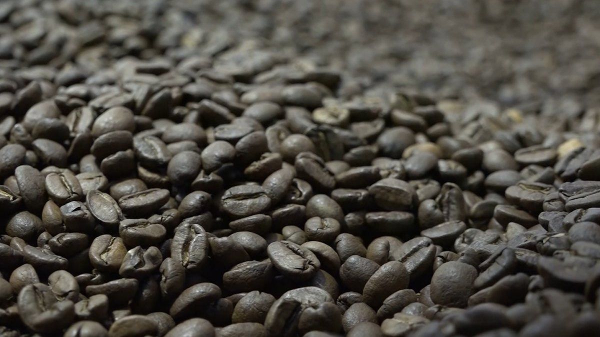 Presidency explains expenses for the purchase of Geisha coffee and guayacán wood