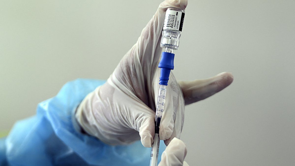 Clandestine vaccination: Report shows that most people did not receive anticovid doses