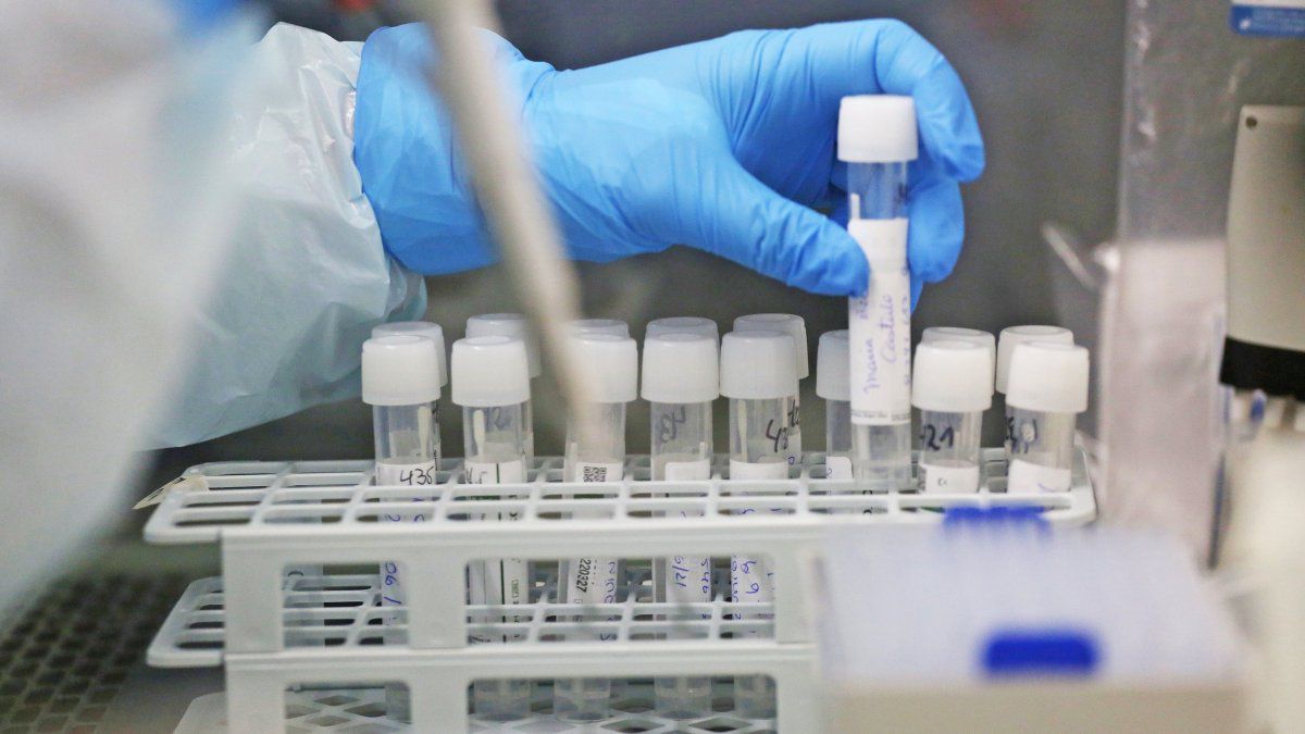 Panama reports 1,317 new COVID-19 cases and 7 deaths in 24 hours