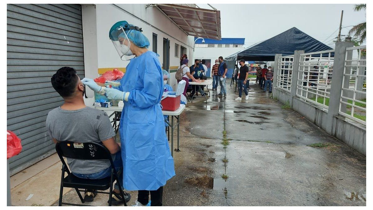 Panama reports 495 new COVID-19 cases and 8 deaths in 24 hours