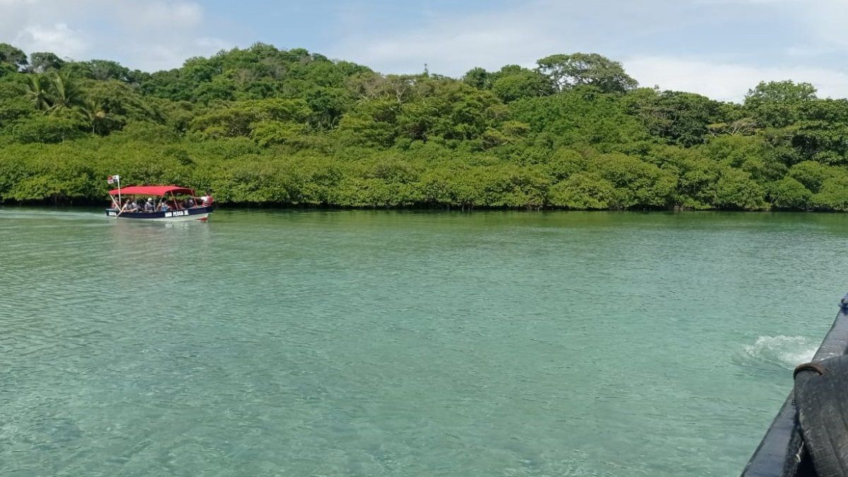 Miambiente suspends use of two tourist areas in Portobelo after ecological damage
