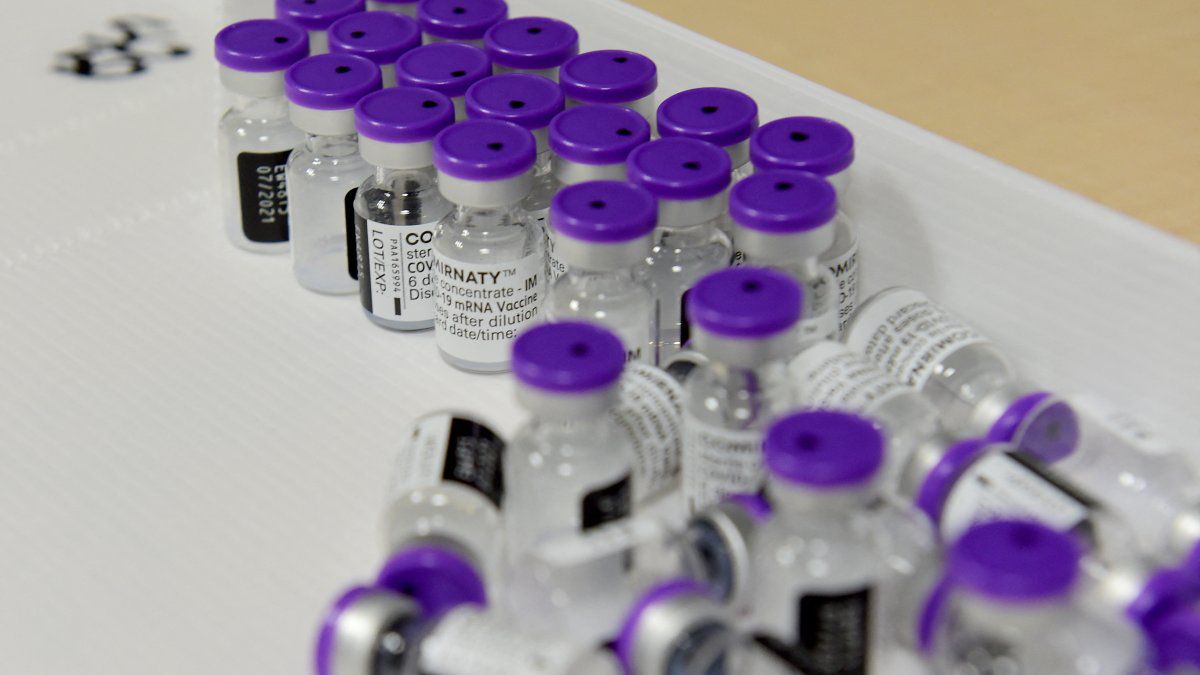 Panama will remain within the line of international organizations regarding the third dose of Pfizer