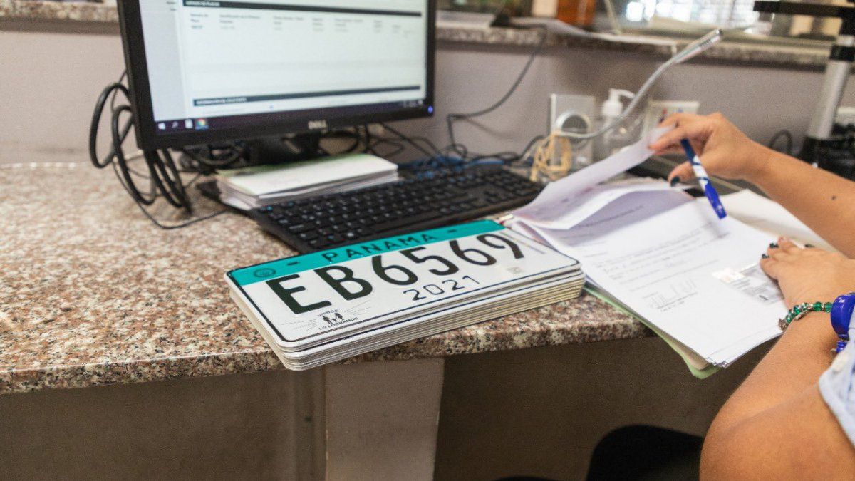 Validity of driver's licenses extended and penalties for expired license plates suspended