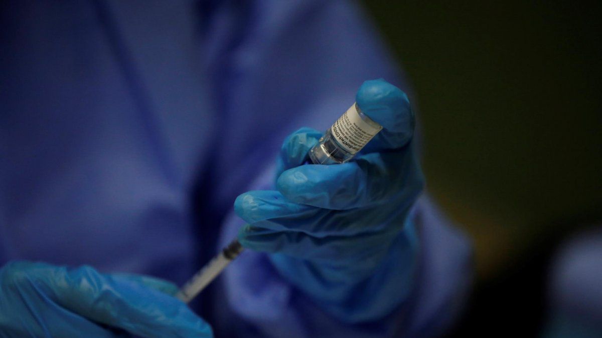 Sweeping vaccination postponed in Bocas del Toro due to weather conditions