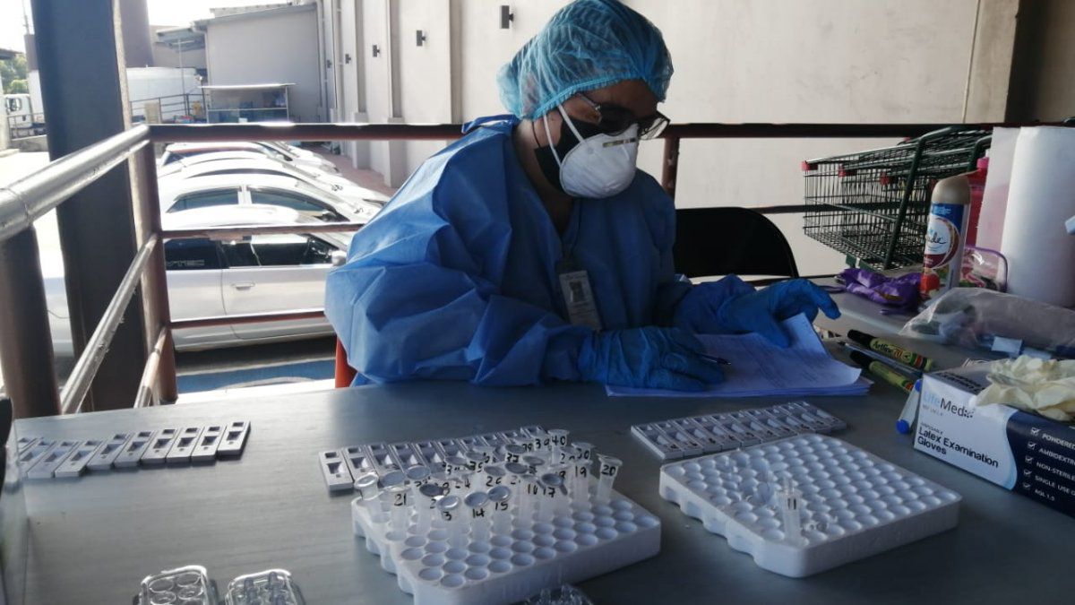 Panama reports 833 new COVID-19 cases and 5 deaths in 24 hours