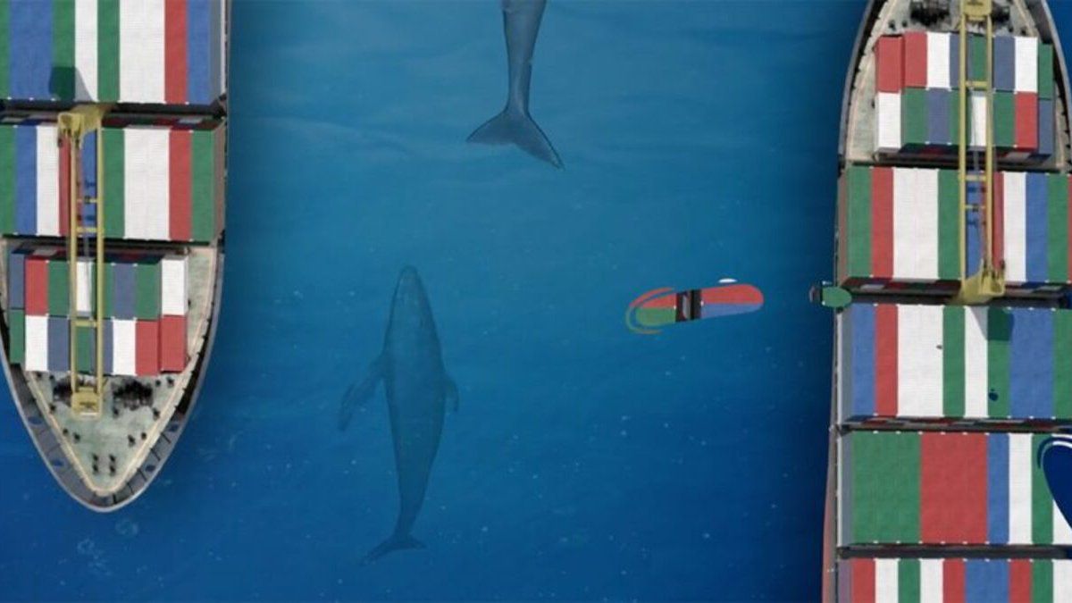 Panama Canal establishes new way to avoid collisions between ships and cetaceans