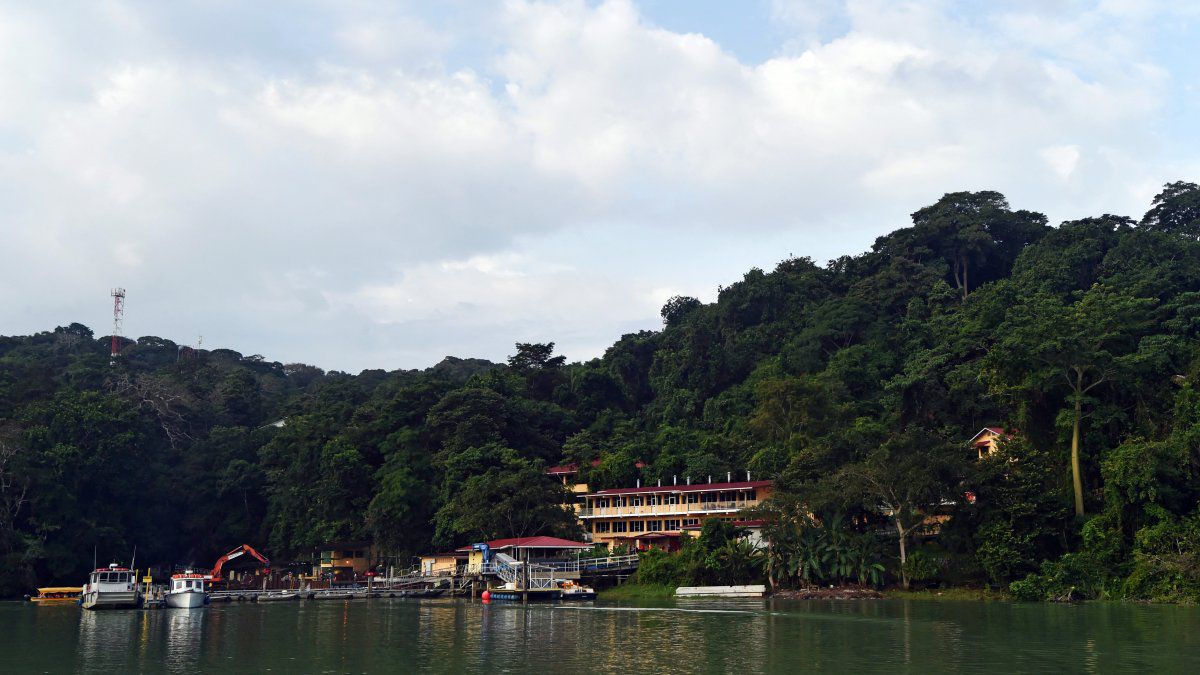 An island of Panama, isolated from humans, loses its biodiversity