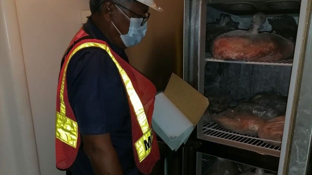 MIDA detects pork meat from the Dominican Republic in Bocas del Toro
