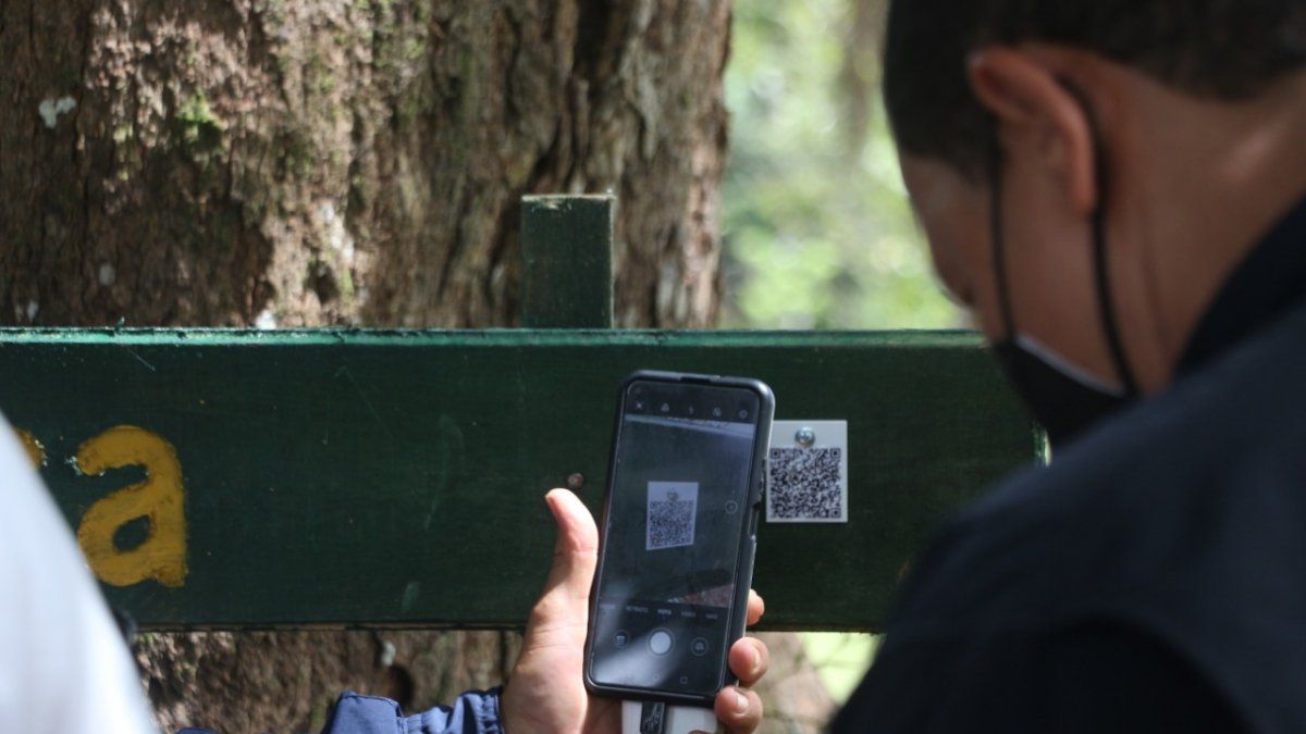 An interactive forest park opened in La Florecita, Veraguas