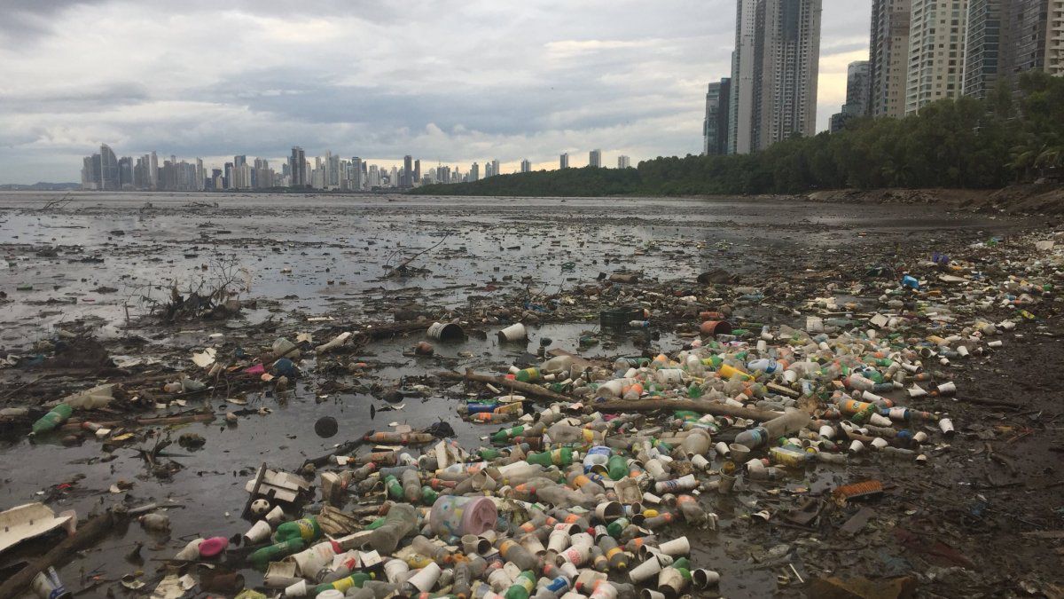 A cleaning day will be carried out this Sunday on the Malecón de Costa del Este