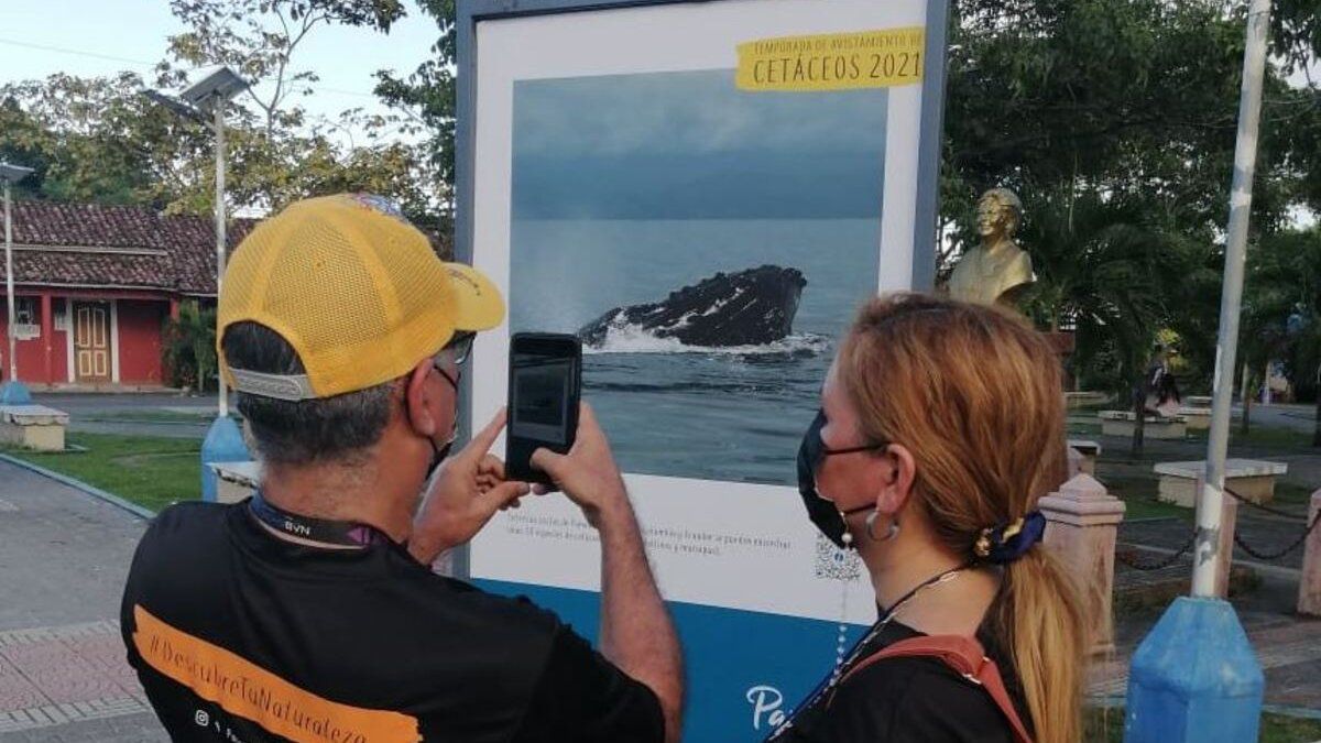 ATP launches whale watching season from Pedasí beach
