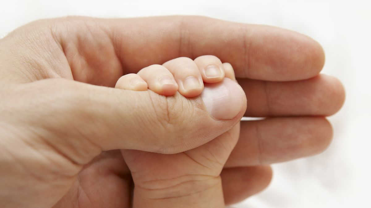 New law extends the scope of maternal jurisdiction to the father