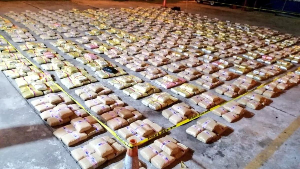 Senan seized 1,514 drug packages south of Isla Coiba