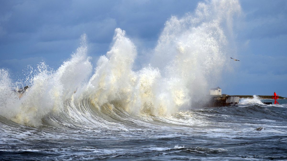 Prevention notice issued until Friday for maximum tides in the Pacific