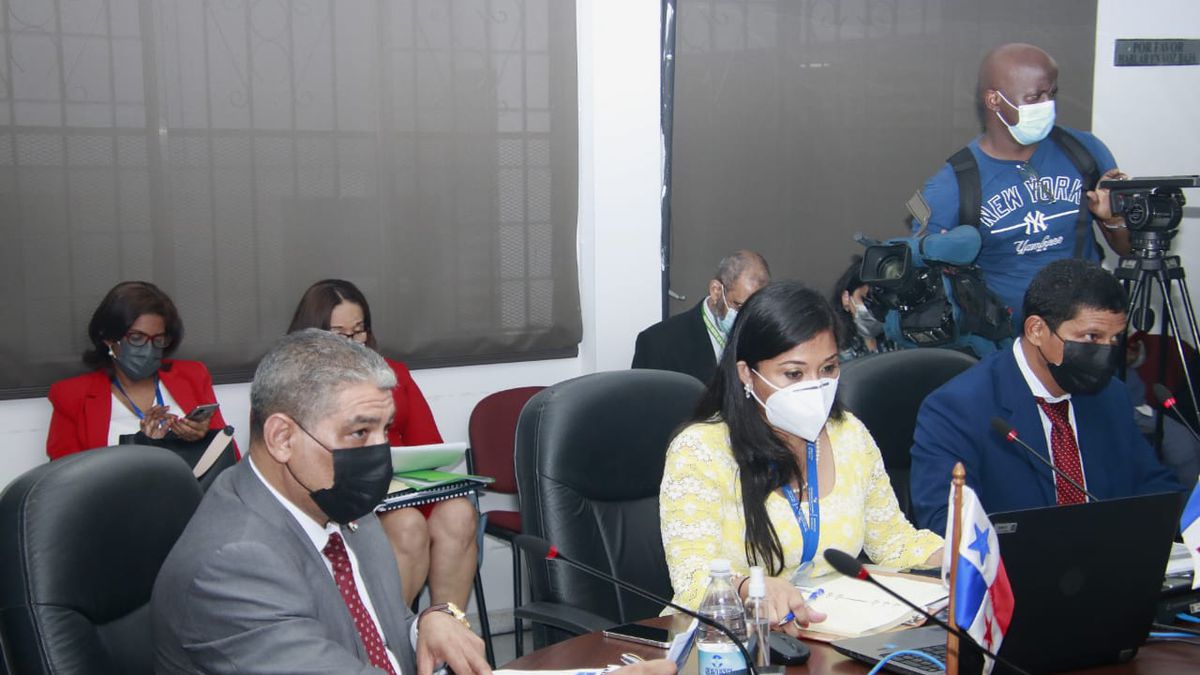 Sucre presents in the Assembly budget view of the Minsa for 2022