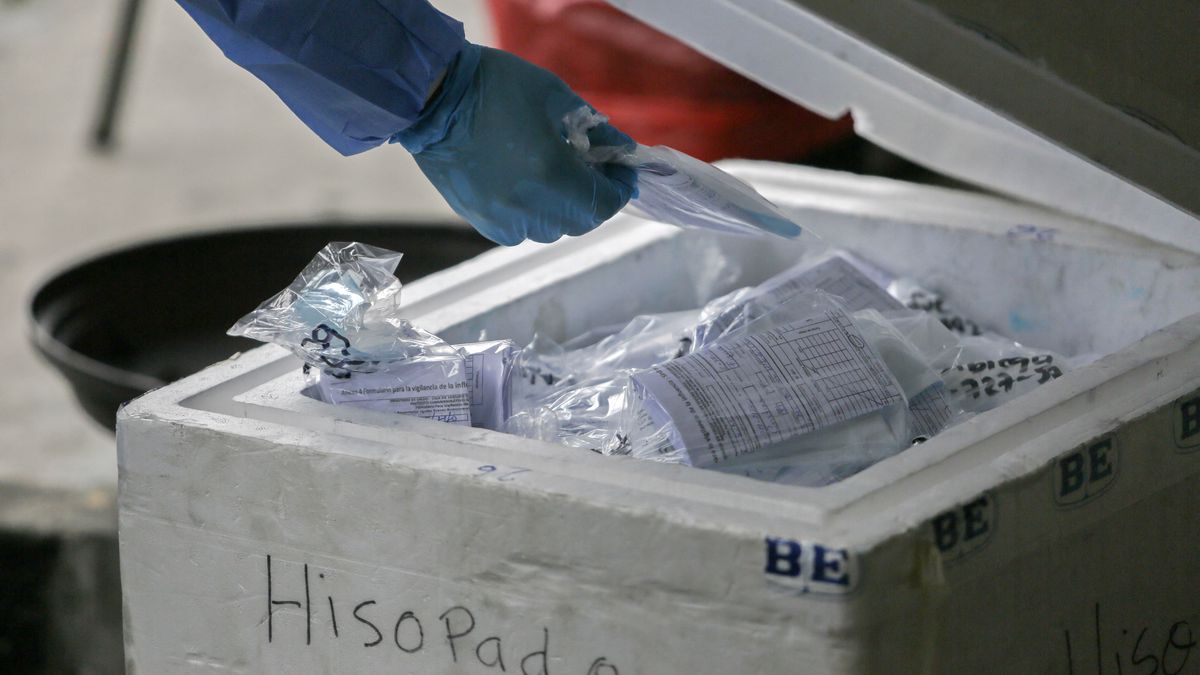 Panama reports 401 new COVID-19 cases and 6 deaths in 24 hours