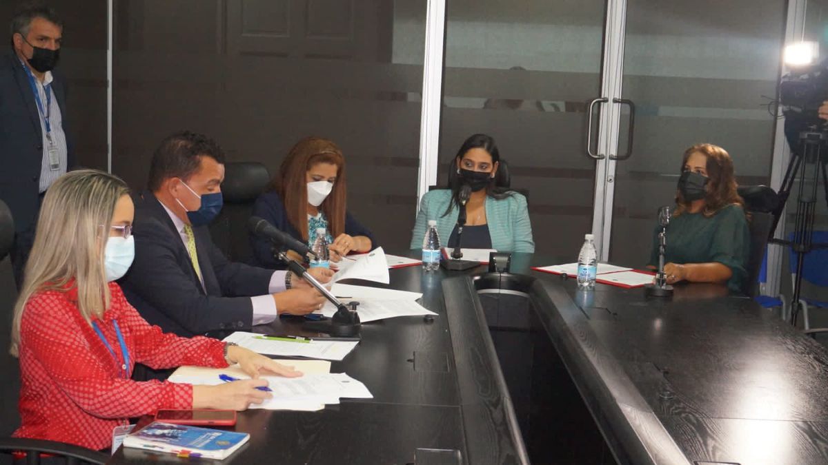 Subcommittee approves a roadmap to move forward with complaints of abuse at Insam