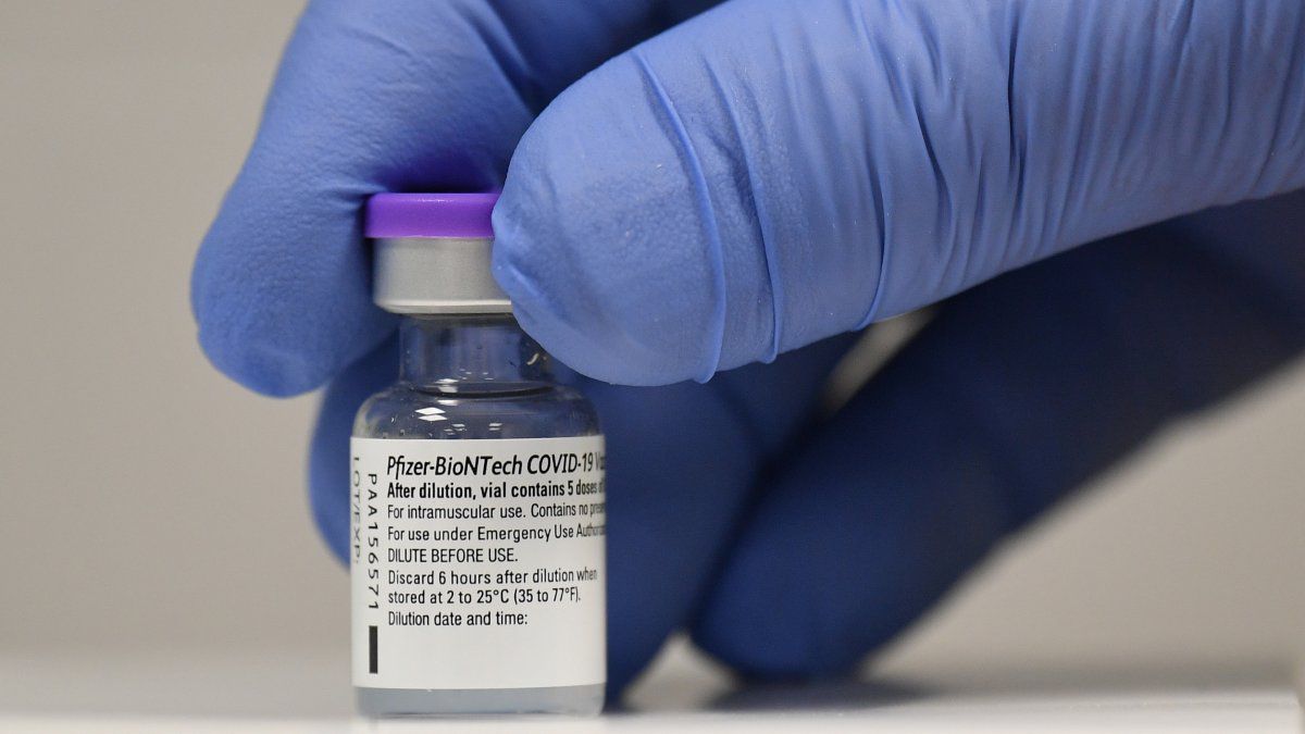 Berrío: Booster vaccines would be applied from the first quarter of 2022