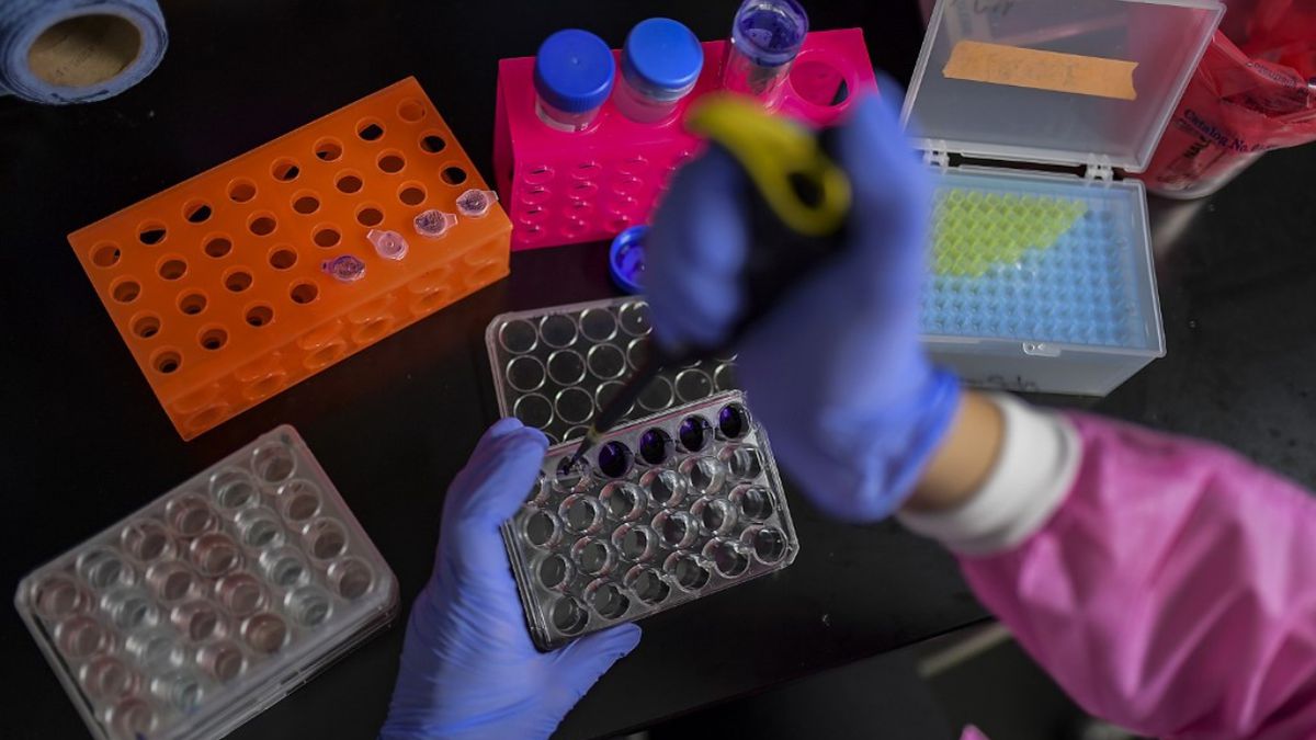 Variant Delta is in 20% of the sequenced cases of COVID-19 in Panama
