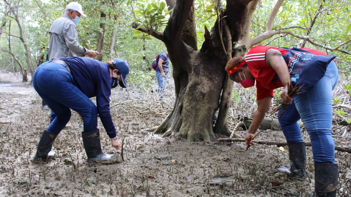 Panama works on a strategy to remain a carbon negative country