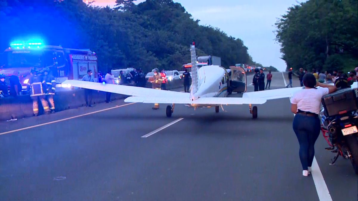 Plane makes emergency landing in the North Corridor