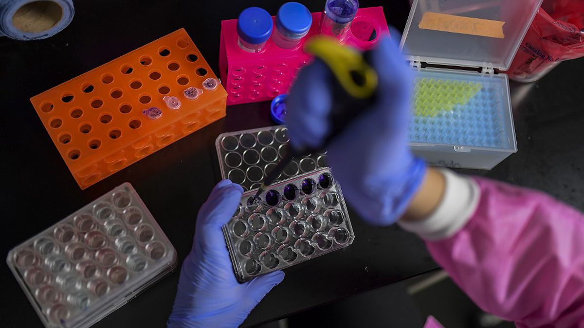 Panama reports 202 new COVID-19 cases and 4 deaths in 24 hours