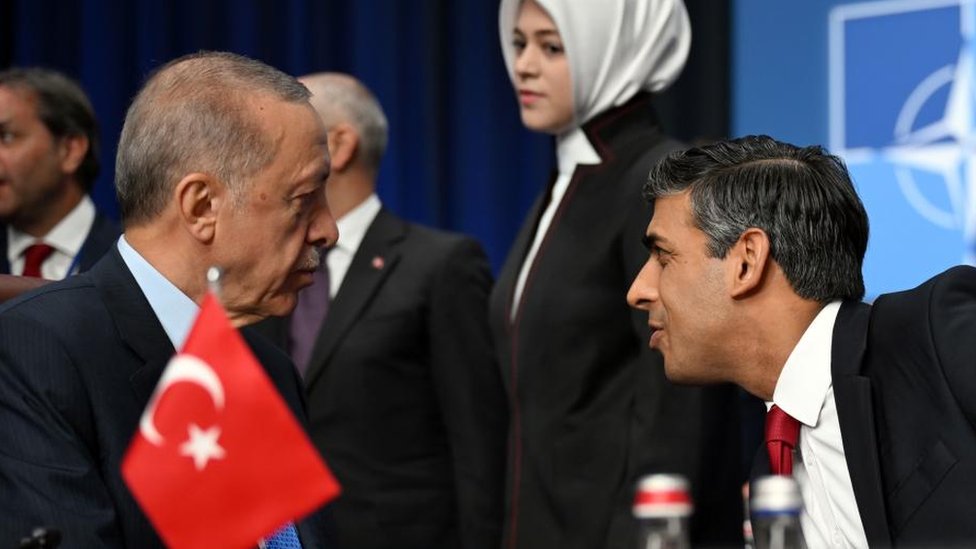 Turkish President Erdogan Drops Opposition to Sweden's NATO Bid Amid Economic Crisis